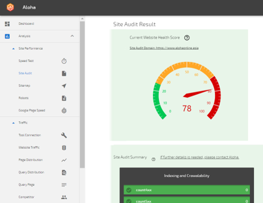 Site audit