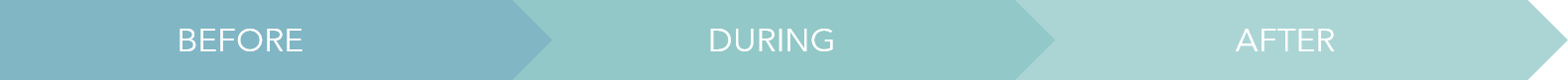 timeline_website revamp timeline_website revamp